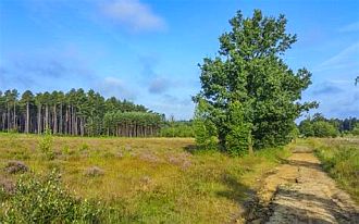 Cours de néerlandais accéléré en immersion à Averbode, pour adultes de formation supérieure qui veulent progresser rapidement.